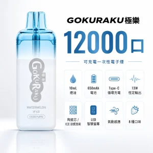 GOKURAKU 極樂 一次性電子煙 12000口 13W恆定輸出 ICE冰感 智慧螢幕顯示【8種口味】